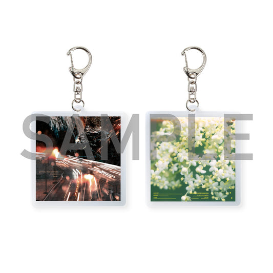 Stardust / Elderflower (CD+Blu-ray)